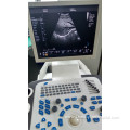 Full digital 4D Laptop color doppler Ultrasound Machine